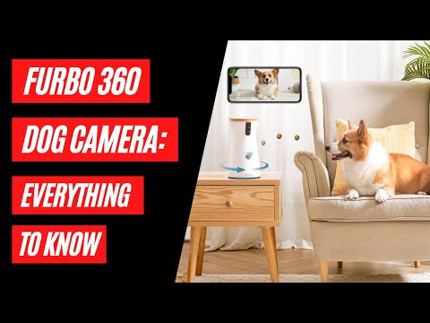Furbo 360 Dog Camera: Everything to Know
