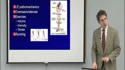 Shin Splints: Top 5 Exercises to Prevent and Treat