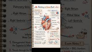 NEET Biology #gk #sscchsl #railway #upsssc #ssccgl #uppcs #mppcs