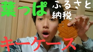 ［ふるさと納税］超リアルな葉っぱの キーケース！？(革)