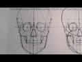 Skull - Art anatomy - drawning - draw - disegno