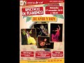 Flamenco  spectacle de ayer y hoy le 17 11 2019