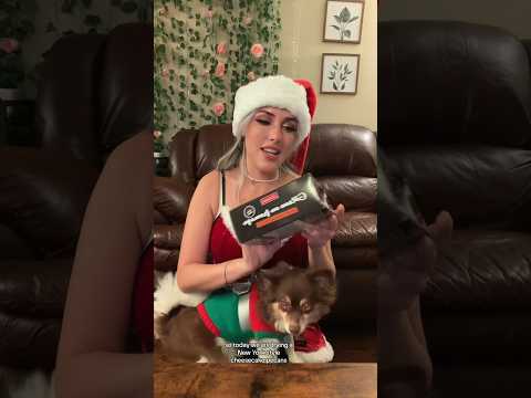 SNCK with Cat: