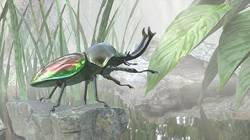 Showreel 1.Semester Noroff