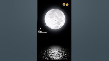 تلاوة مؤثرة جدا .. 😭👑 #لبنان #فلسطين #العراق #تونس #جميع #جزائر #قرآن_كريم #السعودية