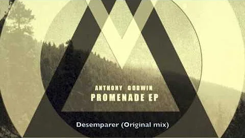 Anthony Godwin - Desemparer (Original mix) / Mioce...