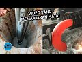 TENANG! Inilah Video yang Mungkin Bisa Membuat Mata Menjadi Rileks dan Kocak!