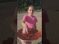 Ništa Bez Zelene Salate Fannyvideo Funny Kuhinja Food Dontlaught Comedy Humor Ništa Bez Zelene Salate Fannyvideo Funny Kuhinja Food Dontlaught Comedy Humor