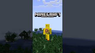 Bonus Chest is Useful in Minecraft #minecraft screenshot 5