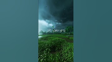تلاوة القرآن الكريم #قرآن #قران_كريم #راحة_نفسية #اكسبلور #quran #mashallah #alhamdulillah #viral