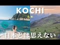 【高知Vlog】日本とは思えない絶景が続く2泊3日旅|仁淀ブルー・柏島・四国カルスト