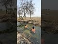 aj gye nehr meh nhane ❤️😂 #minivlog #vlog #funny #viralvideo #pakhalabhatakupakudi #swiming