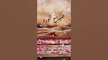 حالة واتس صباح الورد 
