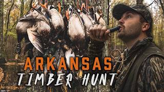 Arkansas Timber Hunt (5 Man Limit)