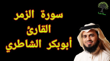 سورة الزمر أبو بكر الشاطري