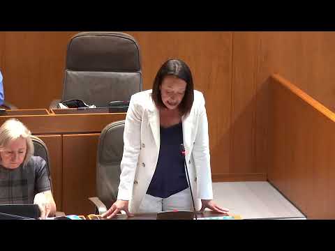 La diputada Mamen Susín interpela a Arturo Aliaga, gobierno de Aragón, por el proyecto del tobogán