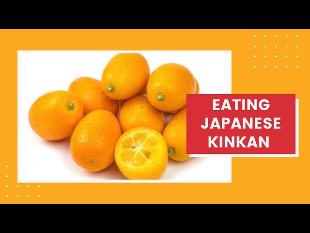 Eating Japanese KINKAN || Citrus Fruit - YouTube