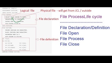 VITechTalks || Mainframes || Batch-5 || File Handling Process-Class-9