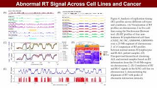 iMeta | RepliChrom: Cancer-associated enhancer-promoter interactions using DNA replication timing