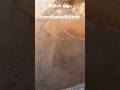 Dusty Powder And Paste Play #asmr #crunchycrumbles #satisfying #clay #sandmentcrushing