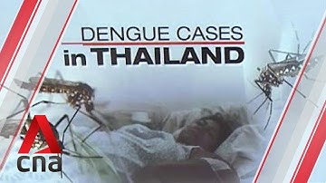 Thailand hit by brutal spike in dengue infections