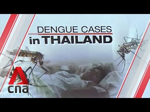 Video: Menyasarkan Kempen Pendidikan Untuk Pencegahan Malaria Dan Demam Denggi: Penilaian Di Thailand