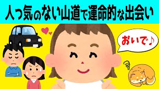 【2chほのぼの】一人ぼっちでさまよう子犬との出会いで娘が優しい一言→その結果w