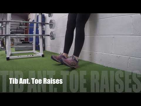 Tib Ant.Toe Raises