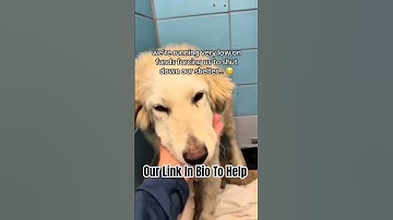 please don’t scroll, you