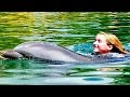 Swimming with Dolphins at Discovery Cove | Swim with Dolphins | Swim with Sharks