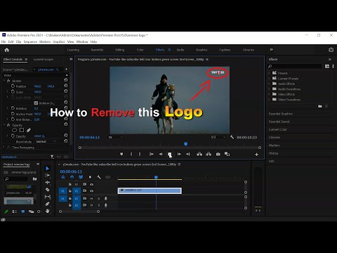 Video: Hoe voer ek After Effects uit na Premiere Pro?