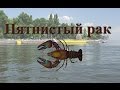 Русская Рыбалка 3.99 Пятнистый рак