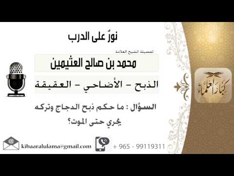 لقاء  من  ماحكم ذبح الدجاج وتركه يجري حتى الموت الشيخ ابن عثيمين مشروع كبار العلماء