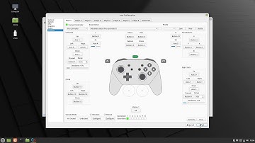 Set up Nintendo Switch Pro Controller with motion control in GNU/Linux