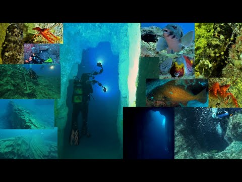Buceo en el Tubo de Garachico 17-09-2022