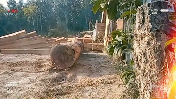 loading timber with jcb on truck episode 1