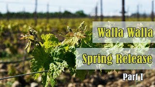 Walla Walla Valley Spring Release 2019 Part 1