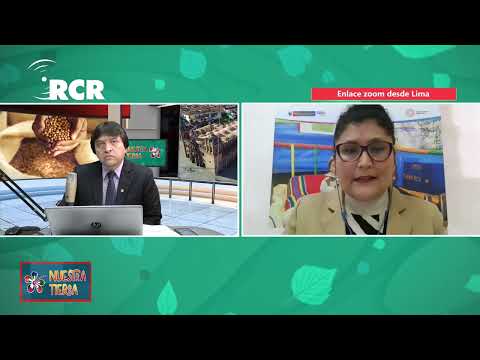 LA NUTRICIÓN SALUDABLE EN UN NIÑO ES UN CRITERIO IMPORTANTE