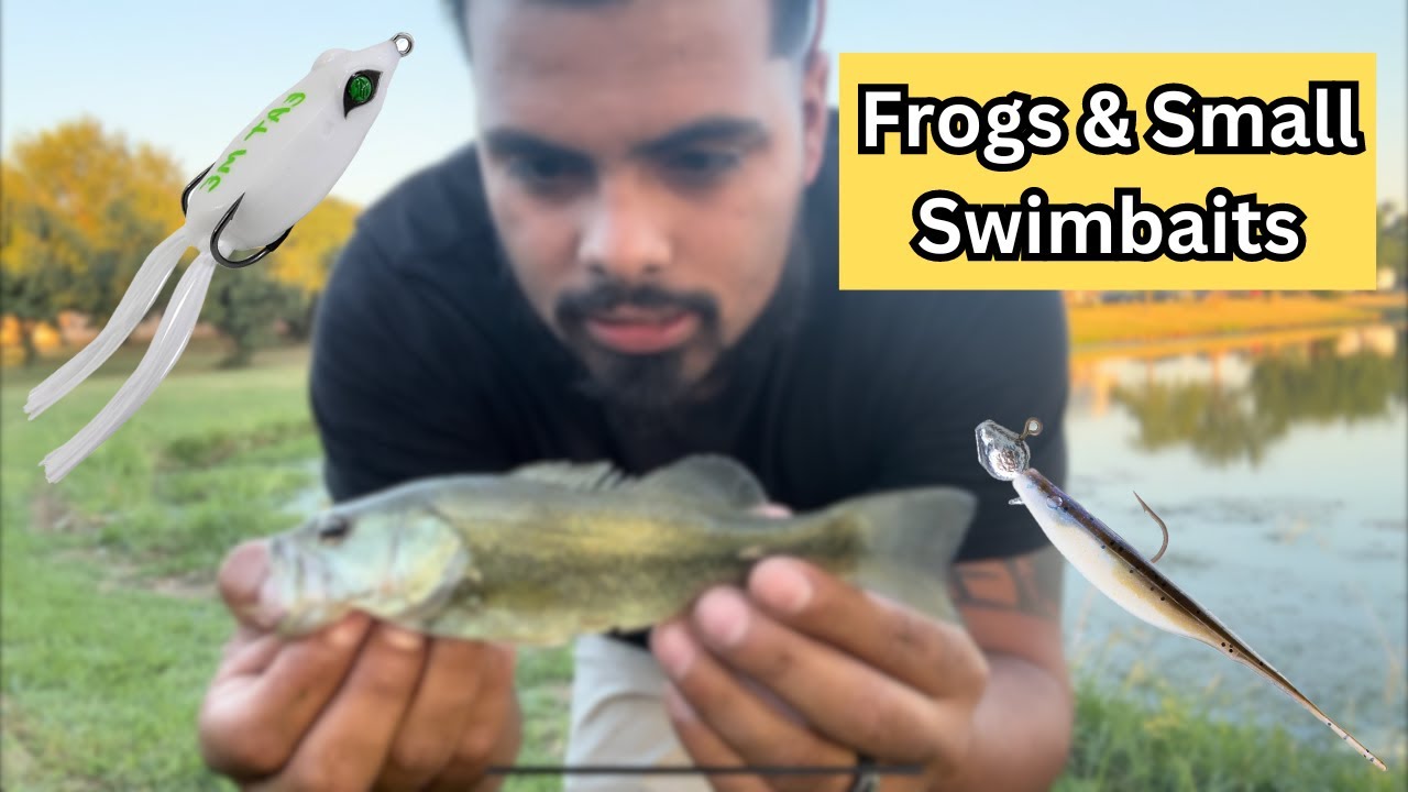 Bass fishing small pond