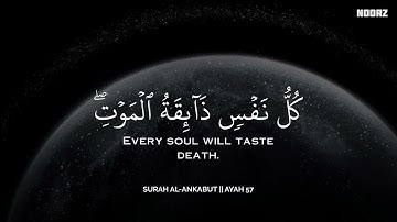 أرح سمعك.. تلاوة هادئة تريح القلب والعقل🩵😴 | ساعة كاملة🕛🎧 القارئ محمد ديبيروف | Muhammad Dibirov