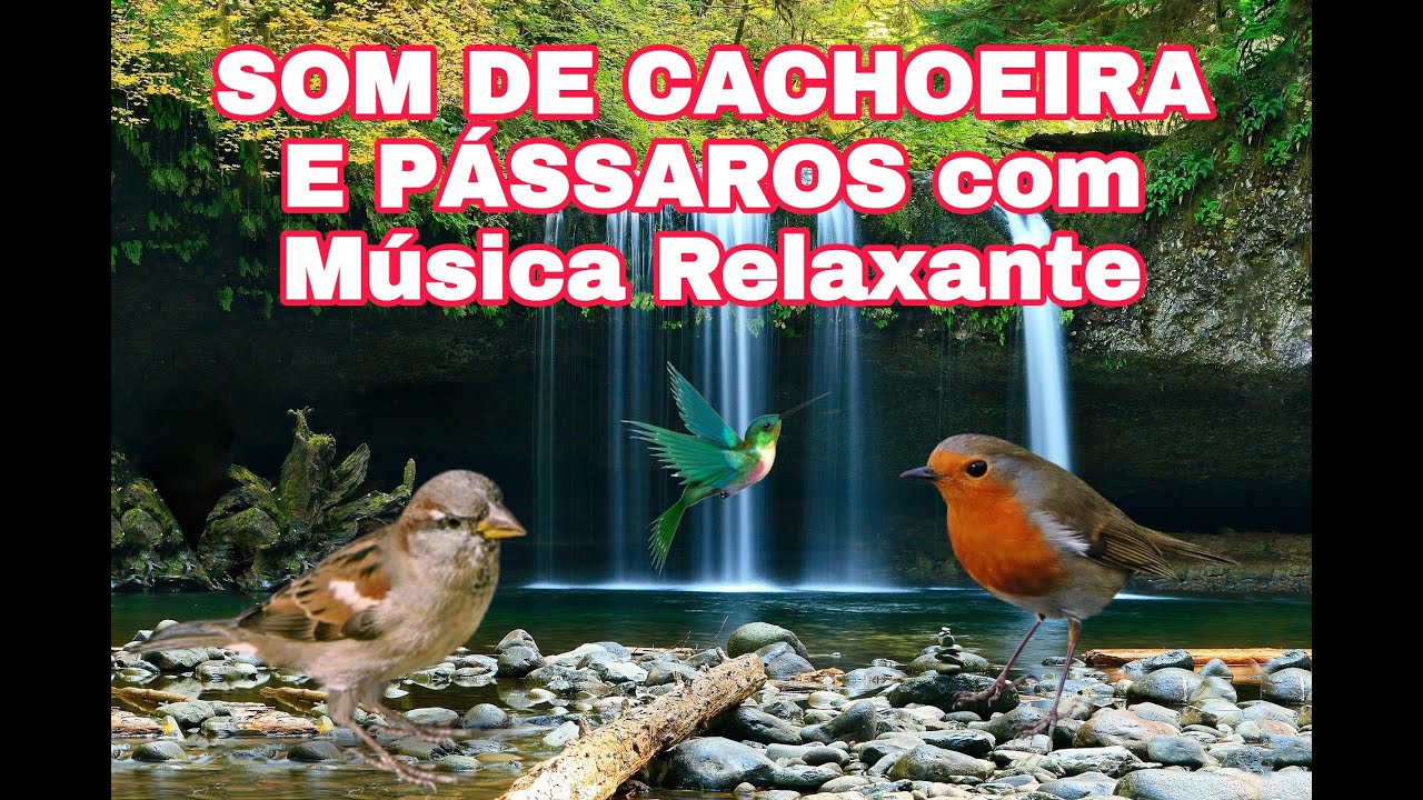 SOM DE CACHOEIRA E PÁSSAROS com Música Relaxante Para Dormir e Relaxar ...