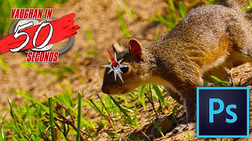 Photoshop | Rotate View Tool