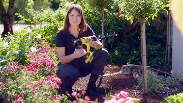 The Garden Gurus 2 Ways to make your garden look great