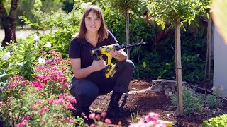 The Garden Gurus 2 Ways to make your garden look great