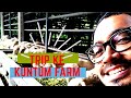 Radiotortotrip  kuntum farm field bogor