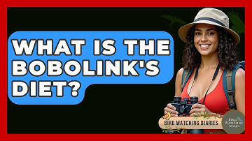 What Is The Bobolink