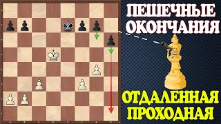 картинка: Шахматы. Учебник эндшпиля №17. Пешечные окончания. Отдаленная проходная
