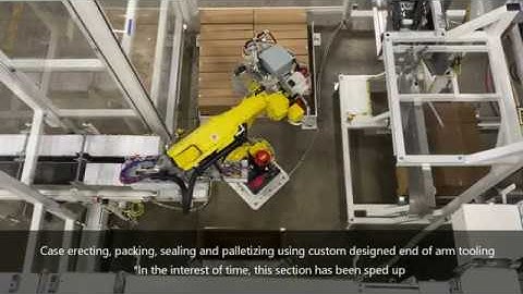 Erect, Pack, Seal & Palletize |  Robotic Cell - Medical Tape