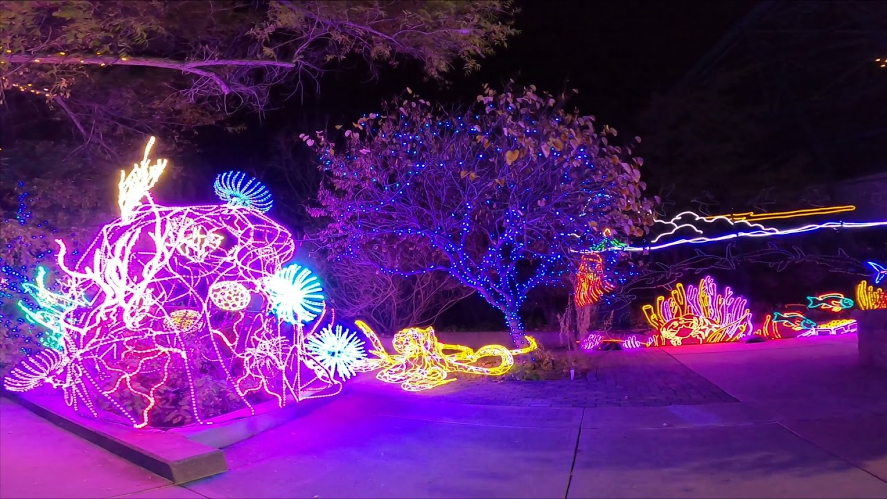 2021 River Of Lights Albuquerque, NM YouTube