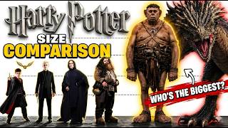Harry Potter Characters BOOK Height Comparison — Smallest to Biggest!